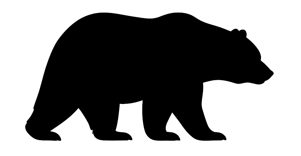BEAR banner